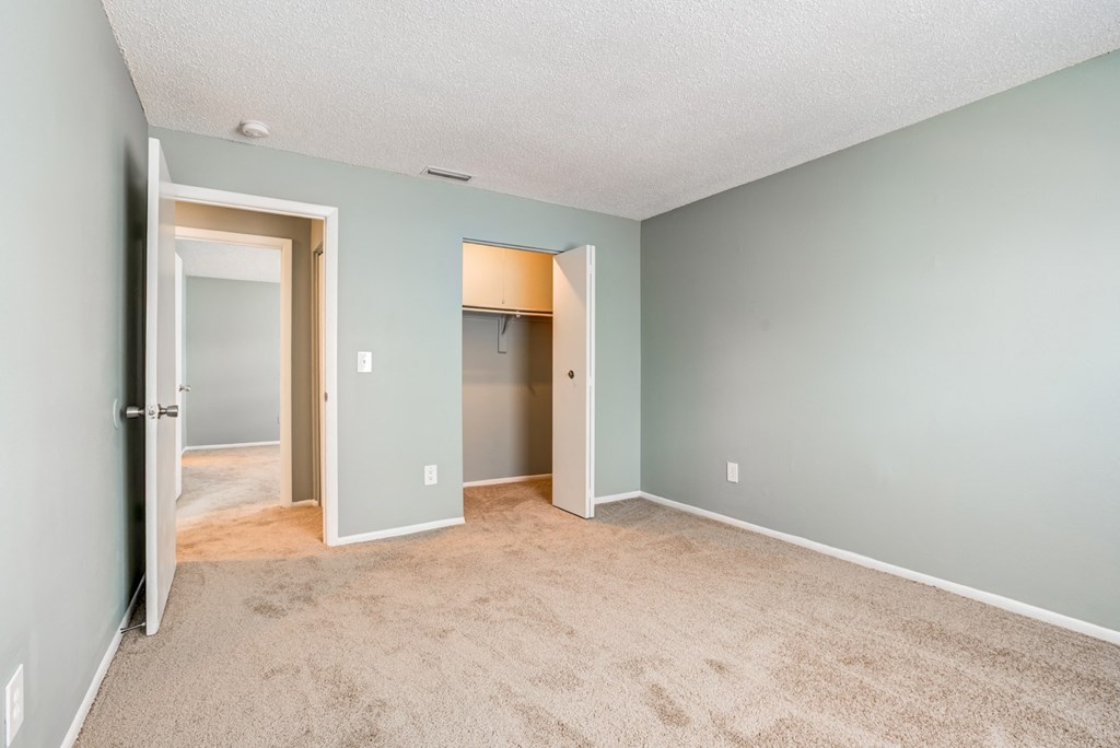 Soft plush carpeting at The Commons, a pet-friendly community in Tampa, FL, near Temple Terrace.