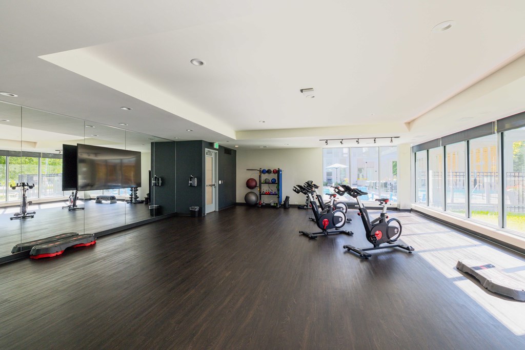 A gym with a row of stationary bikes and a row of exercise bikes.