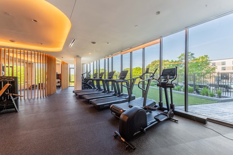 A gym with treadmills, elliptical machines, and a rowing machine.