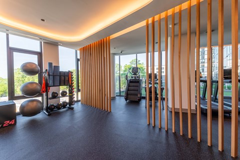 A gym with a row of parallel bars on the right.