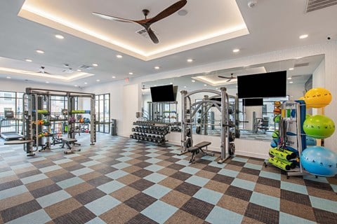 a gym with weights and cardio machines and a ceiling fan