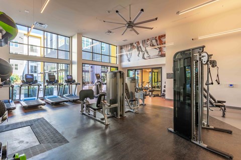 A gym with a variety of equipment including treadmills, weights, and a fan.