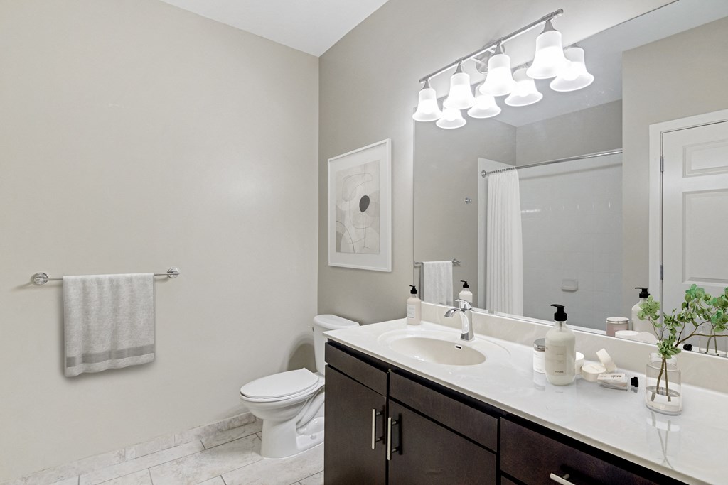 bathroom with dark wood vanity