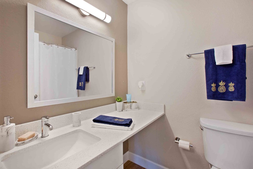 a bathroom with a sink and a toilet and a mirror