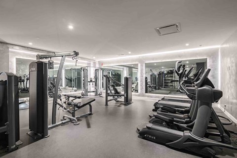 Modern fitness center with treadmills, weight machines, and large wall mirrors.