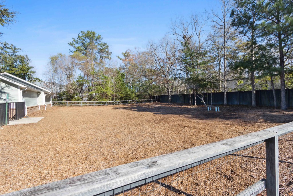Sage at 1240 apartments in Mount Pleasant South Carolina photo of Large Dog Park