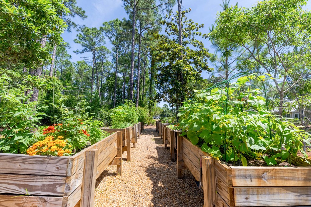 The Sanctuary At 331