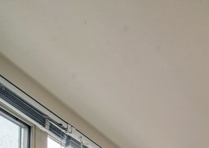 Oversized windows - Photo Gallery