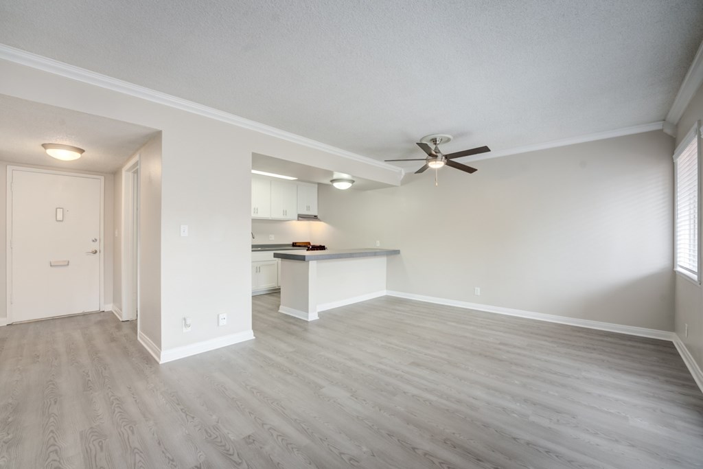 A spacious room with a ceiling fan and lighting fixtures.