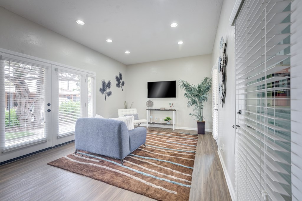 A living room with a grey sofa and a brown rug.