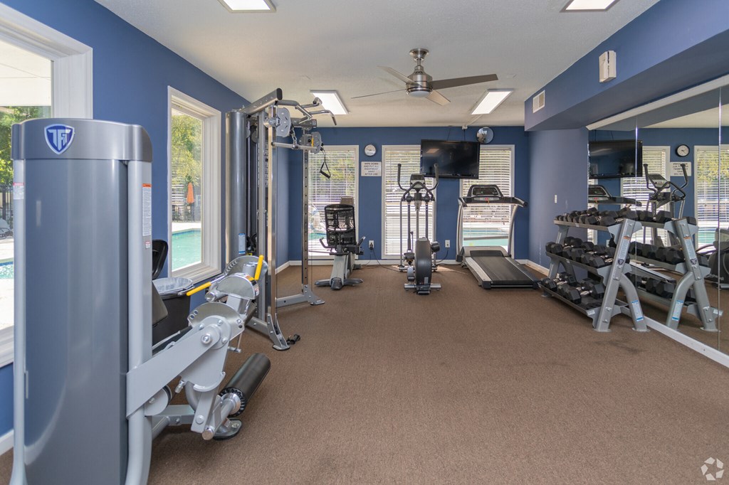 a gym with weights and cardio machines and a tv