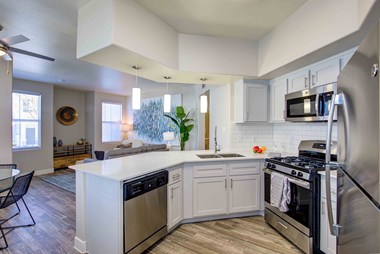 Stainless Steel Appliances in specific apartments