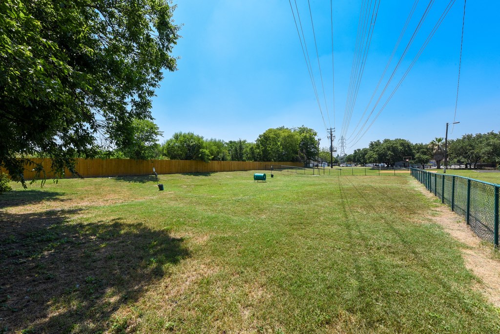 a fenced in dog park with trees and a fence