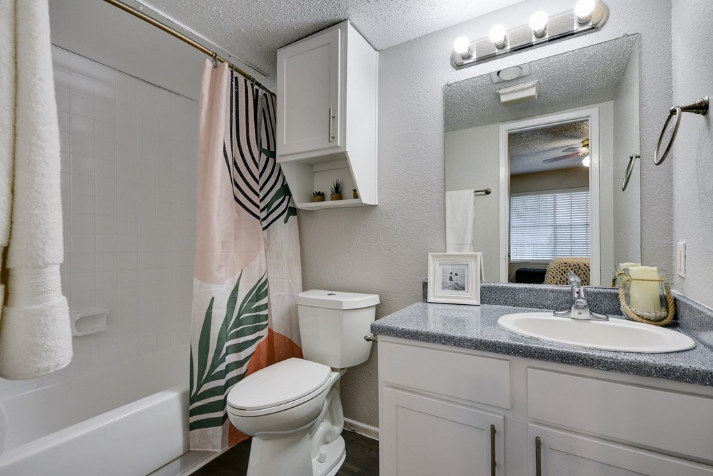a bathroom with a shower and a toilet and a sink