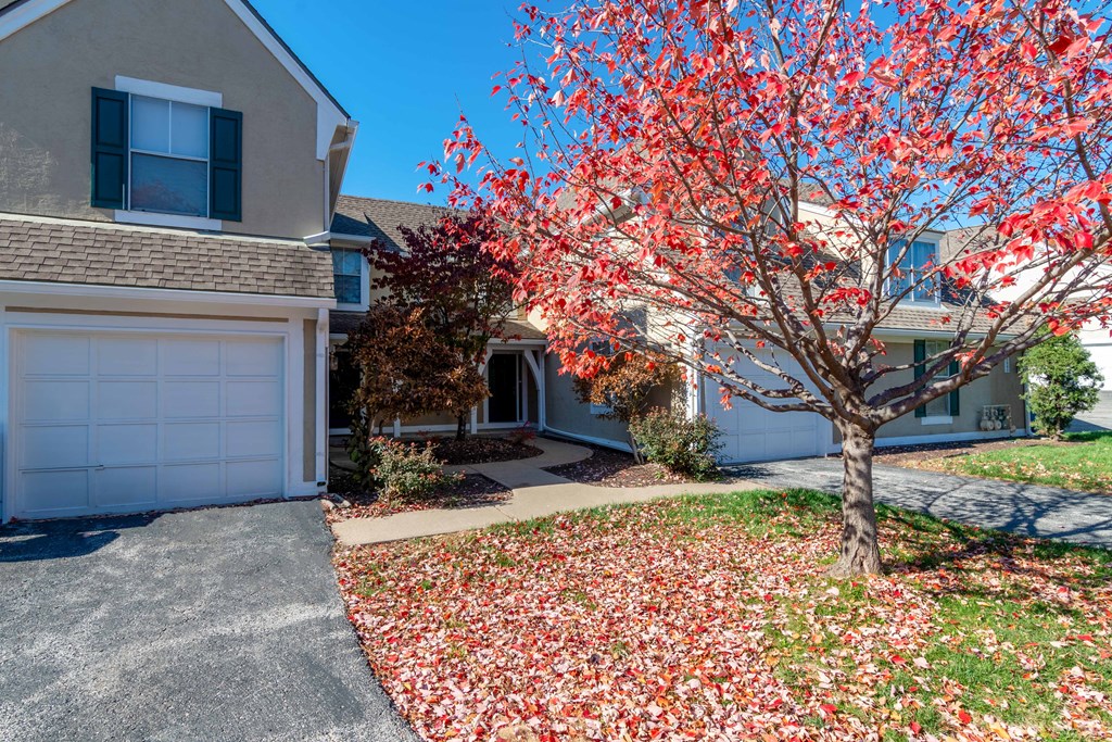 a tree with red leaves in front of a house