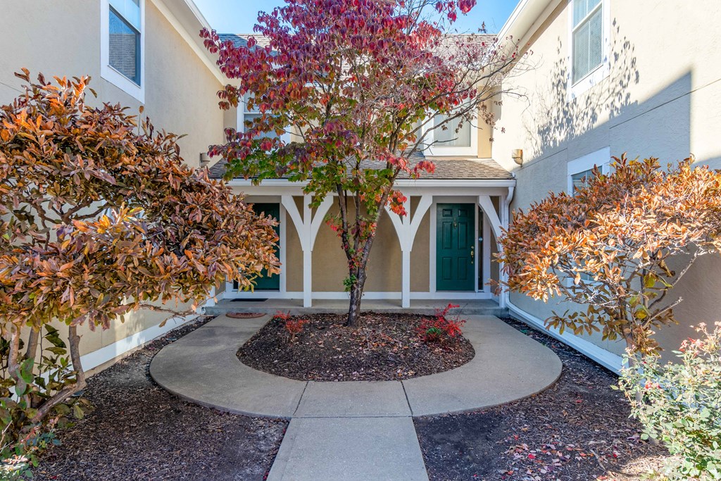 the front yard of a house with a tree in the center
