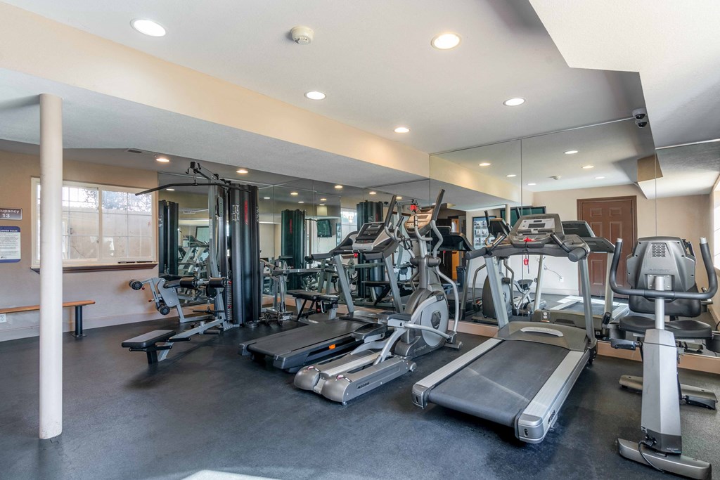 the gym is equipped with cardio equipment and weights