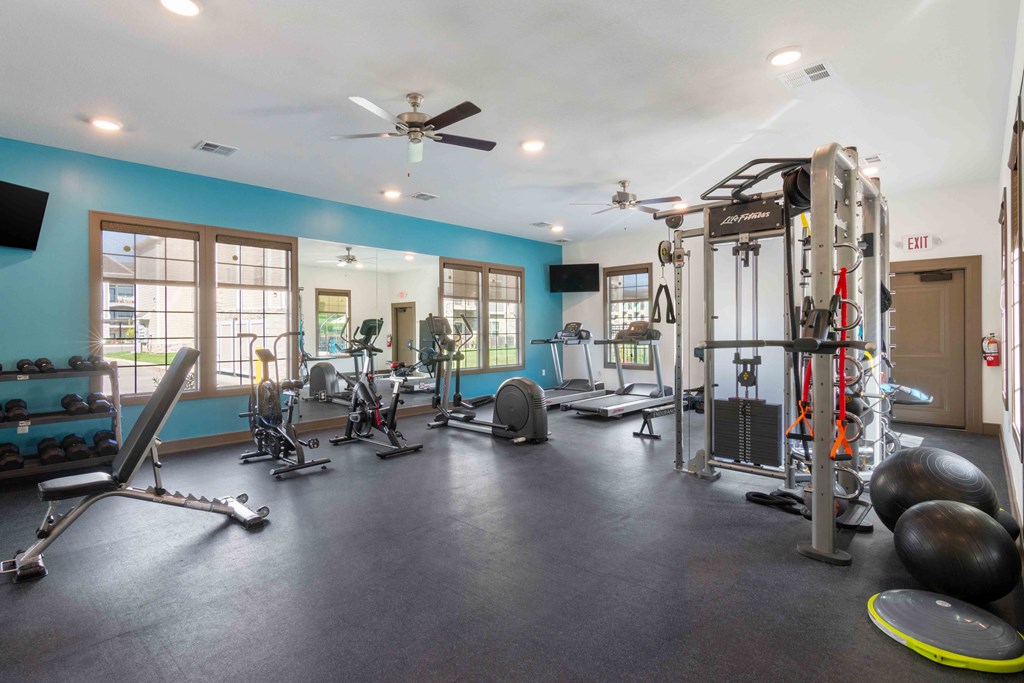 the gym has plenty of weights and cardio equipment and windows