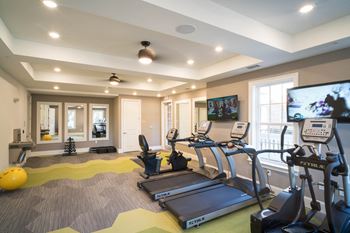 A gym with treadmills, weight racks, and bright decor.