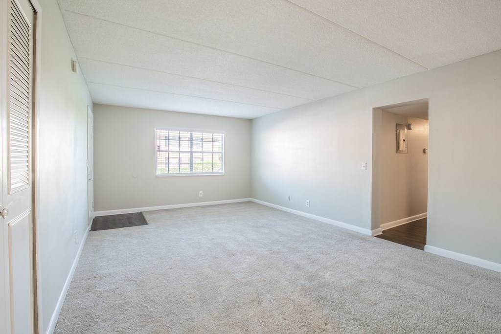 Townsend Apartments Jacksonville FL photo of living room