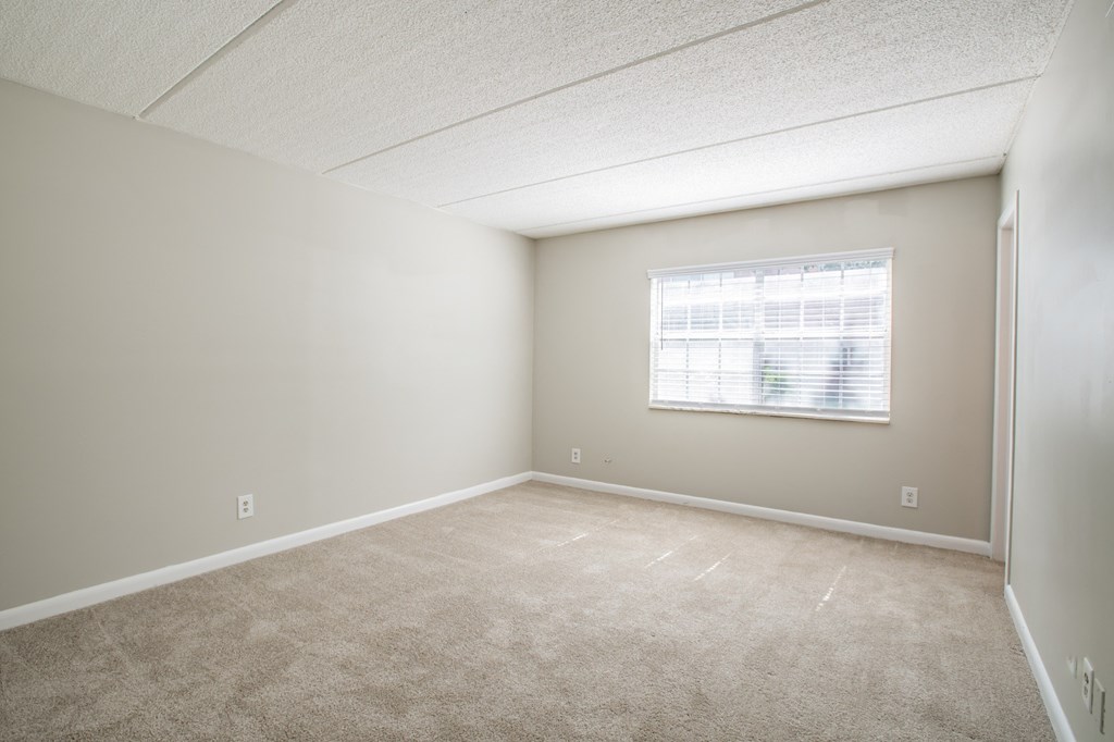 an empty bedroom with a window and carpeting
