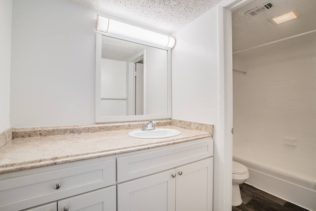 Townsend Apartments Jacksonville FL photo of bathroom