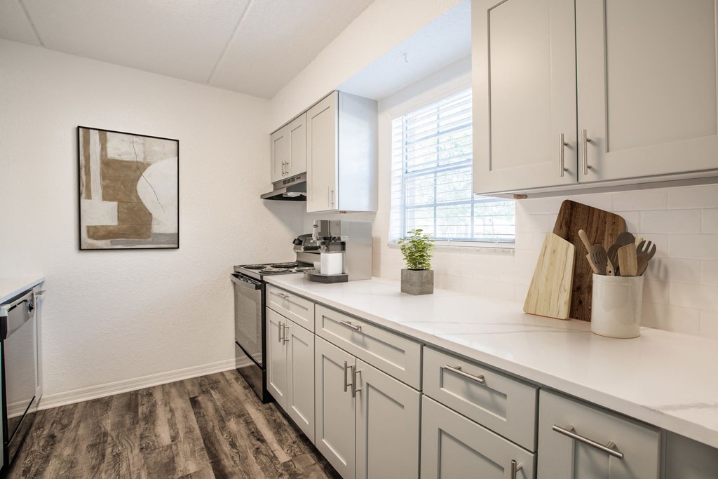 Townsend Apartments Jacksonville FL photo of kitchen