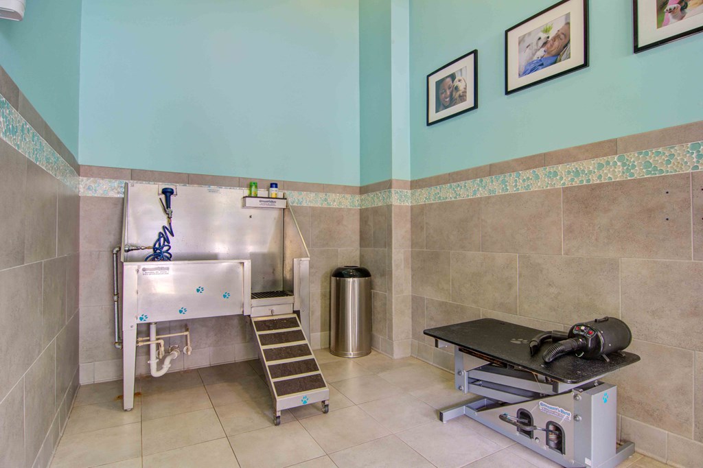 Twenty25 Barrett apartments in Kennesaw, GA photo of dog care center