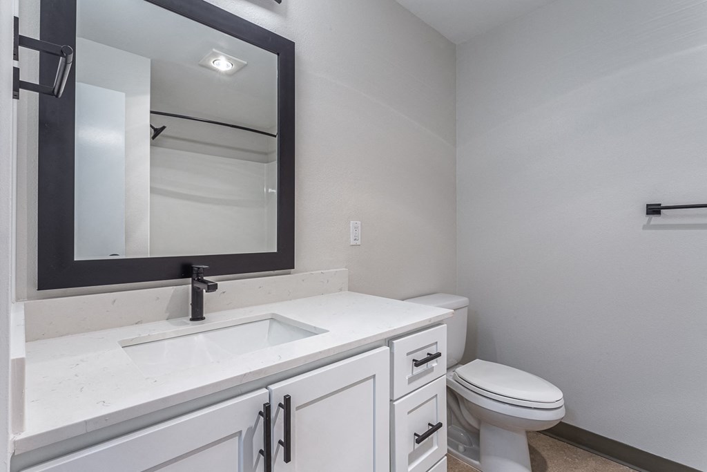 a bathroom with a sink and a toilet