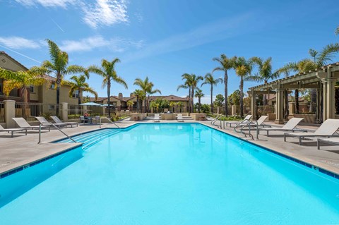 1-Bedroom Apartments In Ventura, Ca -Vanoni Ranch - A Large, Bright Blue Swimming Pool Surrounded By Tan Lounge Chairs And Tall Palm Trees Under A Clear Sky.