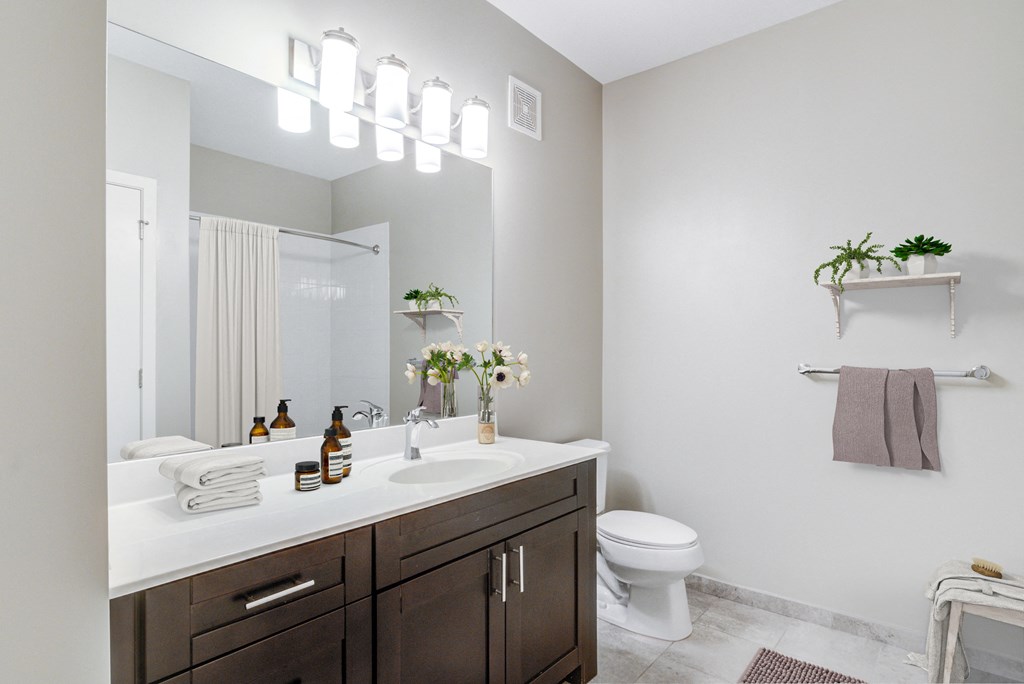 bathroom with dark wood vanity