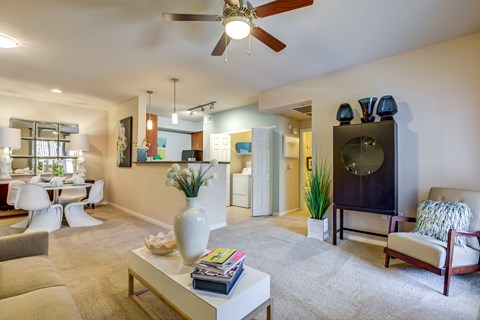 lots of natural light in apartment