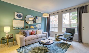 355 East Evelyn Avenue 1-3 Beds Apartment for Rent - Photo Gallery 5