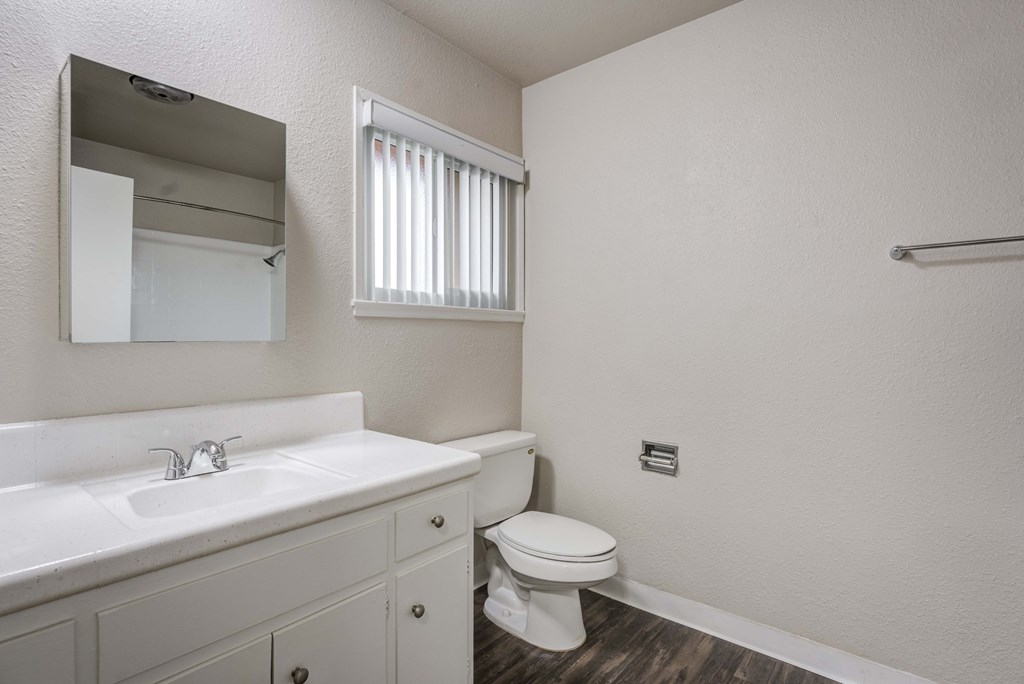 a bathroom with a sink toilet and mirror