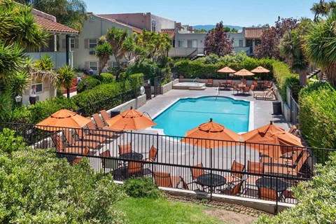 Dog-Friendly Apartments in San Jose, CA - Village of Taxco - Swimming Pool With Lounge Seating, Orange Umbrellas, Spa Area, Lush Landscaping, And Apartment Buildings.
