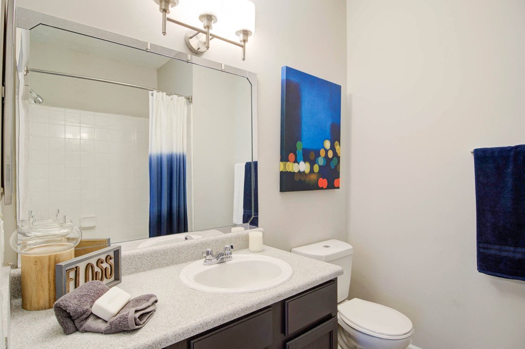 a bathroom with a sink and a toilet and a mirror