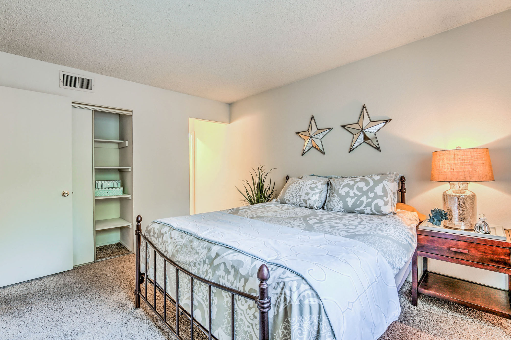 Large Closets- bedroom