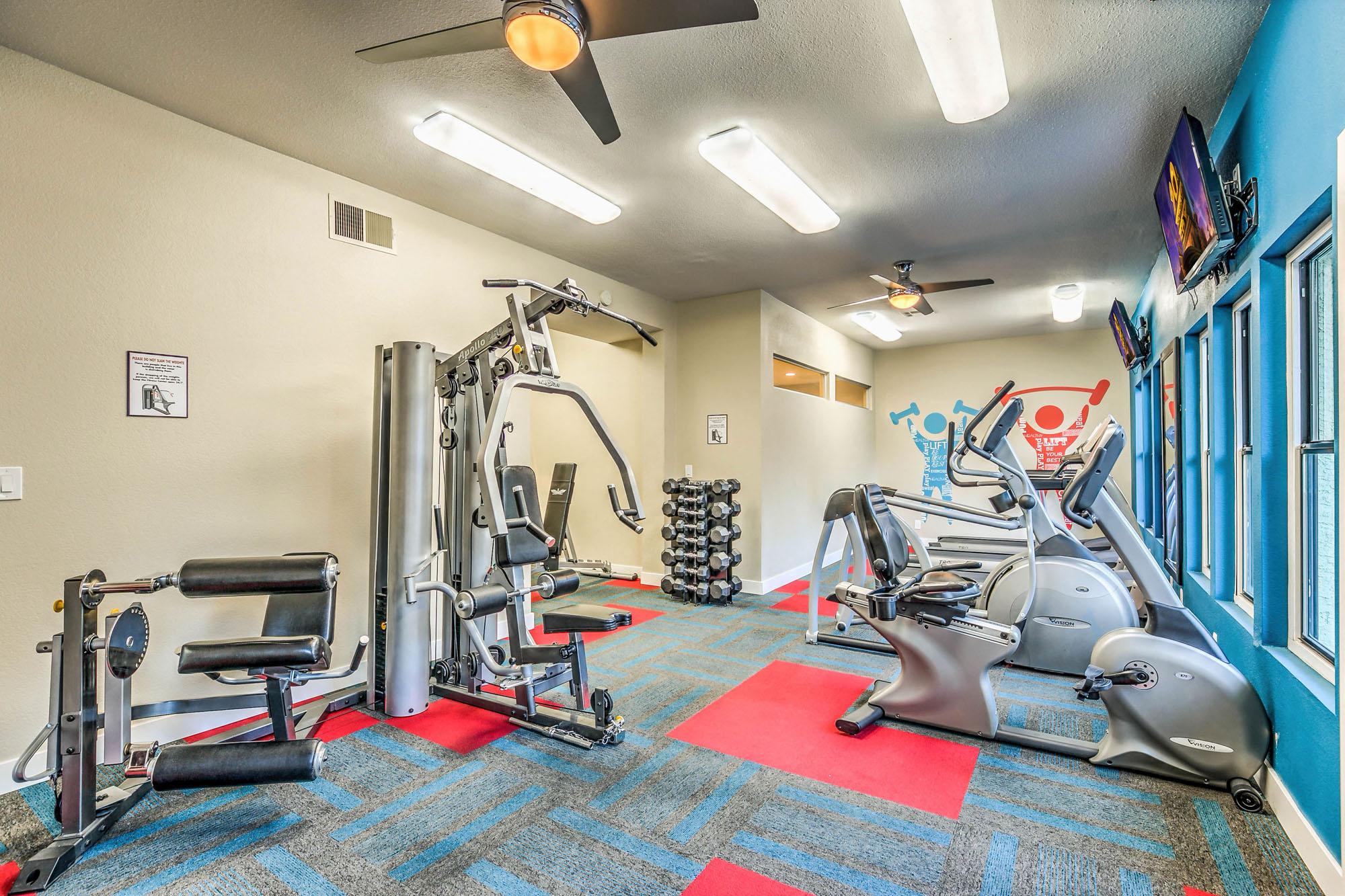 fitness center- cardio machines, weighted machines