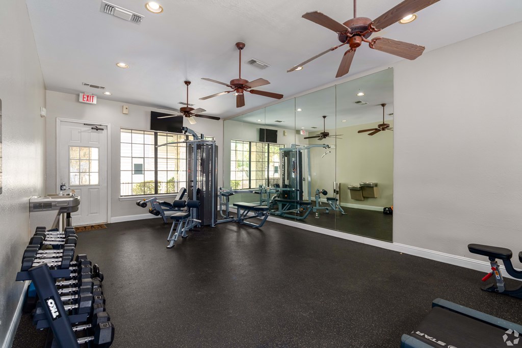 A spacious gym with a variety of equipment including a squat rack, bench press, and a mirror.