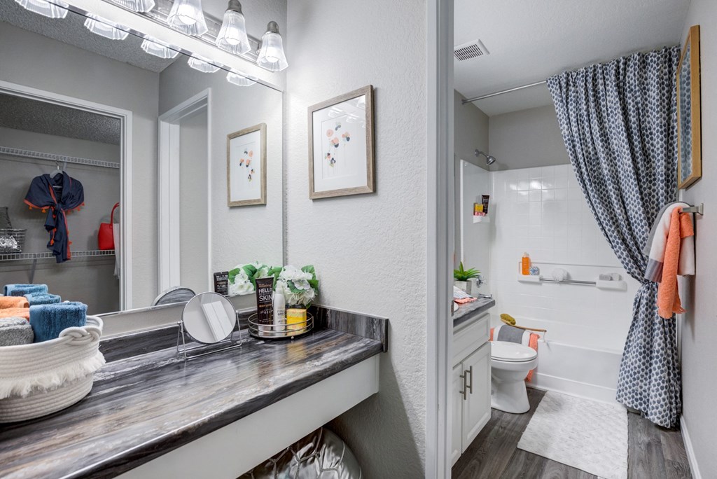 a bathroom with a sink and a toilet and a shower