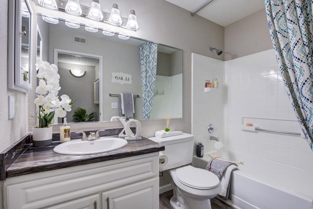 a bathroom with a sink toilet and a mirror