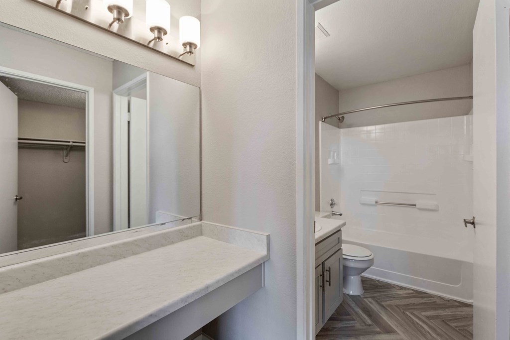 a bathroom with a mirror and a toilet and a sink