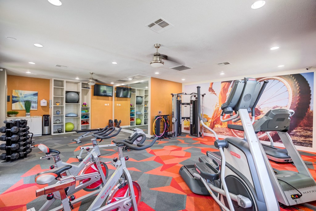 a gym with exercise equipment and a wall mural of a bike