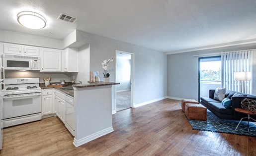 a living room with a kitchen and a couch