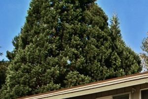 large deck or patio - Photo Gallery 4