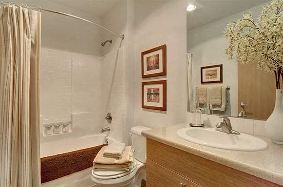 bathroom wood cabinets