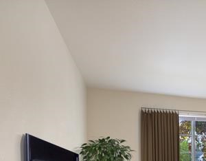 Lots of natural light in apartment Lots of natural light in apartment - Photo Gallery 5