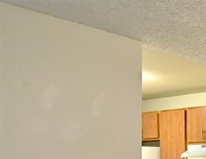 dining area carpet - Photo Gallery 3