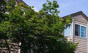 exterior of building, 3 story - Photo Gallery 2