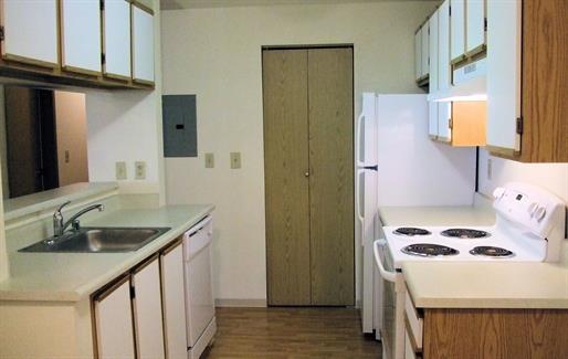 a kitchen with a stove and a sink and a refrigerator